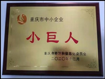 资质证书